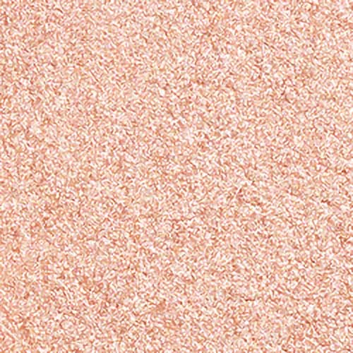 Shiseido Colour + Glow Enhancer